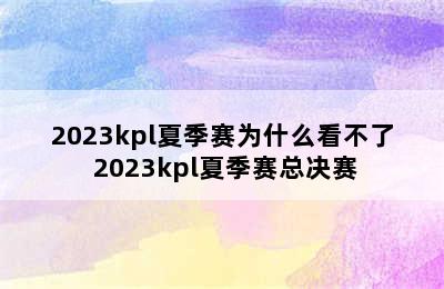 2023kpl夏季赛为什么看不了 2023kpl夏季赛总决赛